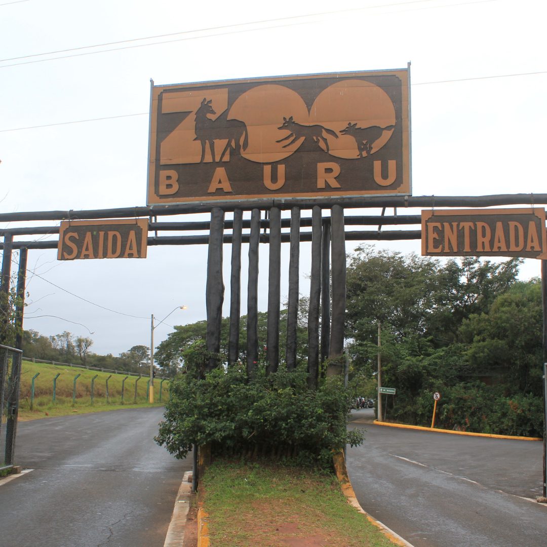 Inscrições para o curso de férias do Zoo Bauru começam nesta terça-feira (03)