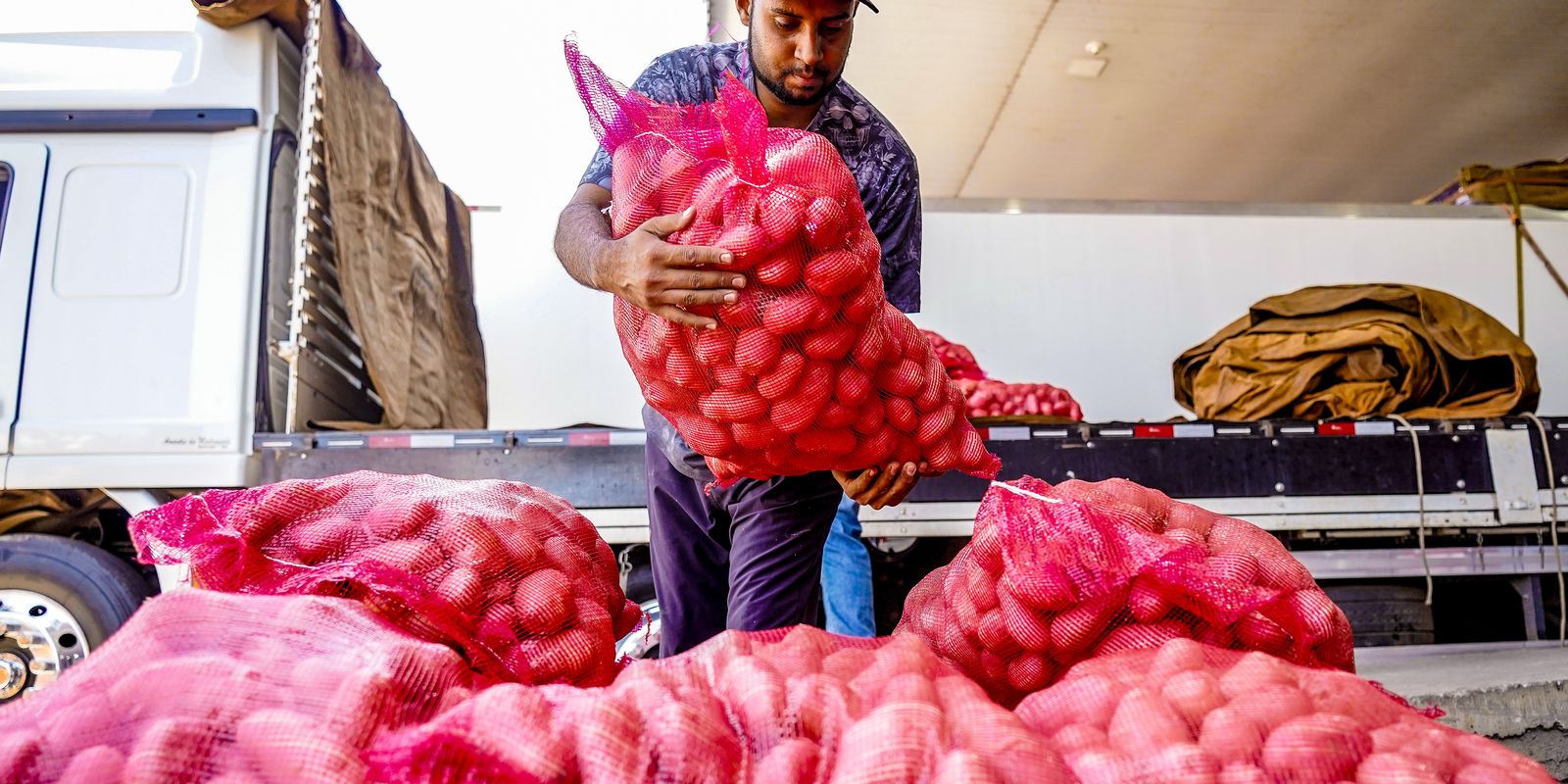 Conab aponta queda de preço da batata e alta da cebola e tomate