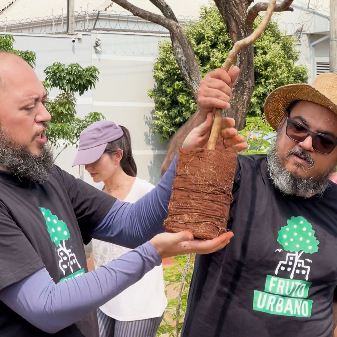 Projeto em Bauru cria pomares urbanos com plantio de árvores frutíferas nativas